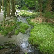 透明度抜群、名水百選の池山水源