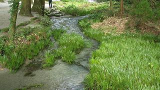 透明度抜群、名水百選の池山水源