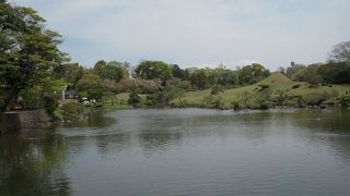 有名ですが正直イマイチ