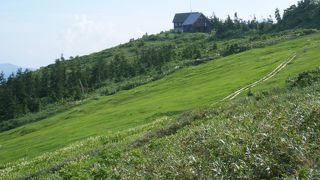 花の季節にお勧めします