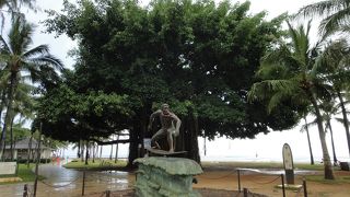 ワイキキのスト−ム