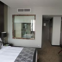 客室とバスルーム（バスルームはカーテンがかかります）