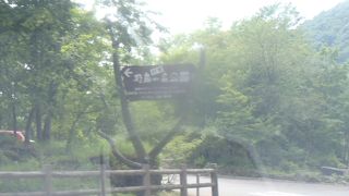 大自然が生んだ芸術