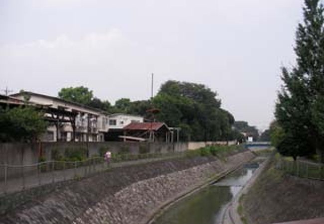 善福寺川に沿って緑が残っています