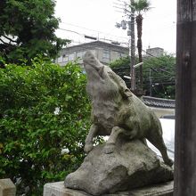 とってもりりしいお顔。。。