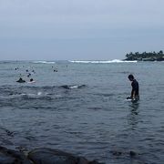 海亀が触れるくらいの距離に来てくれました