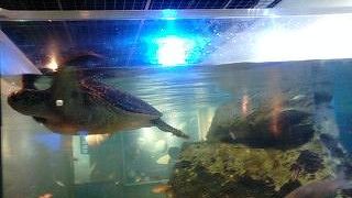 気軽に楽しめる施設