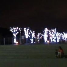 淡路サービスエリアのイルミネーション