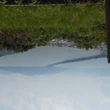 股のぞきして見た天橋立