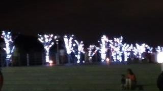 イルミネーションが美しい