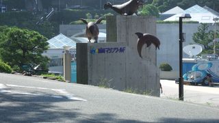 ペット 小型犬 と一緒に入れました By Chico 城崎マリンワールドのクチコミ フォートラベル ペット 小型犬 と一緒に入れました By Chico 城崎マリンワールドのクチコミ フォートラベル
