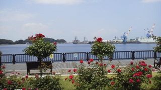 横須賀港の軍艦を真近に望む、海沿いのきれいな公園