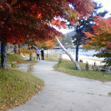 湖沿いの遊歩道には様々な色に染まった紅葉が並びます。