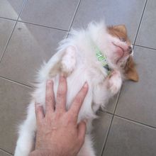 ちょとだけ遊んでもらいました