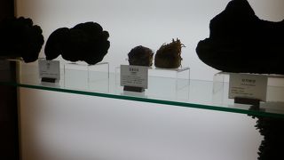 韓国韓方を知るにはここ！