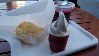 言わずと知れた有名店