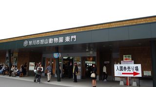 行動展示の先駆け