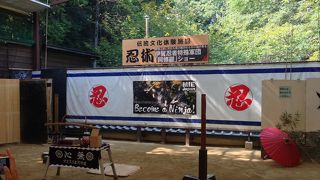 是非、忍術ショーをみましょう。オススメです!