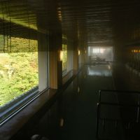 緑がすがすがしいです