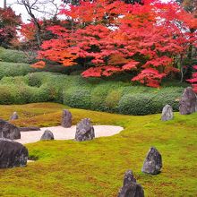 秋の東福寺（光明院）