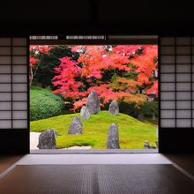 秋の東福寺（光明院）