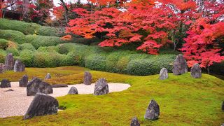 東福寺の隠れた穴場