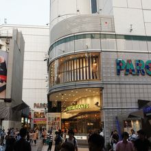 広島ファッション界をリードしてるのかな？