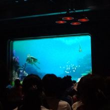 みなさん、よくご存じでした