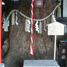 神木の楠が駅のホームを貫いていることで知られている萱島神社