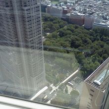 都庁が見えます