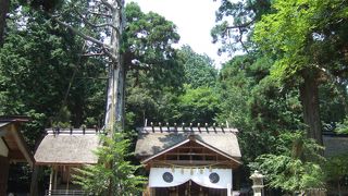 山の上にある神聖な神社！