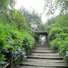 人がいなくなるのを待って撮りました。