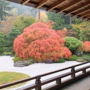 紅葉の時期が最高です