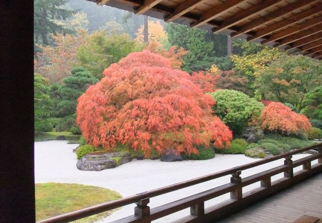 紅葉の時期が最高です