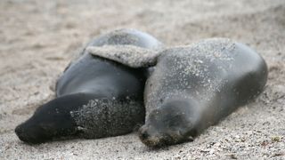 比較的新しい観光場所