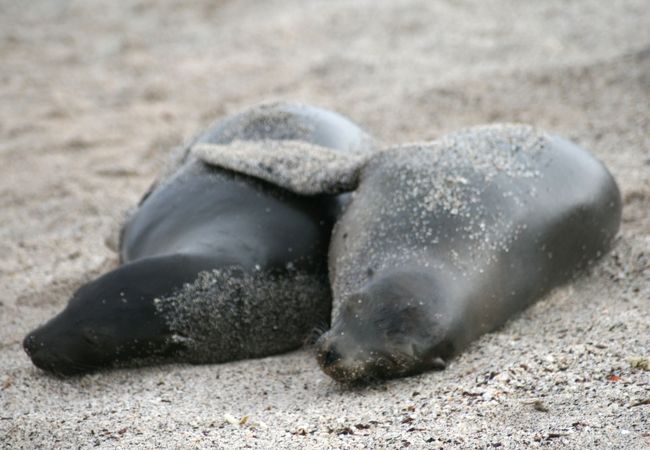 比較的新しい観光場所