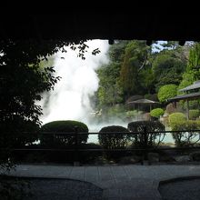 お庭としてもきれいです