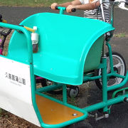   お盆休みにおもしろ自転車でサイクリング