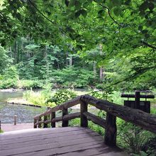 石ケ戸レストハウスから渓流を望む