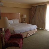 キングサイズのベッドを置いてもがらんとしているくらい広い。