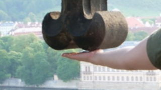 上にあがれます