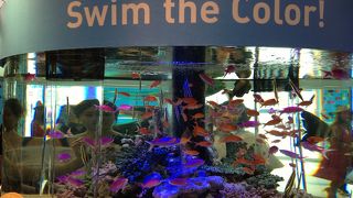 ソニービルが水族館のようになります!!