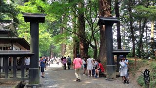 奥州藤原氏滅亡から500年後に....