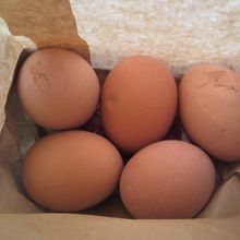 温泉たまごです。塩もついています。