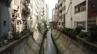 最近まで川だとは知りませんでした