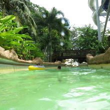 ジャングルの川泳ぎ・・・結構長いです