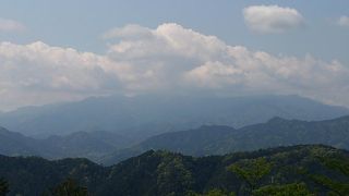 朝早くから行くのがおすすめ。