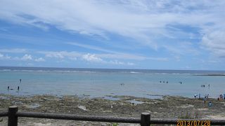 魚が沢山います☆