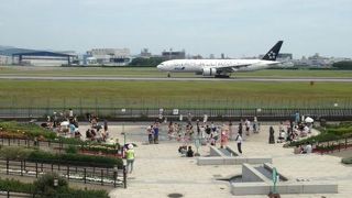 間近で飛行機を見るなら！