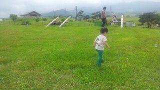 ヤマメの塩焼きがおいしいです。